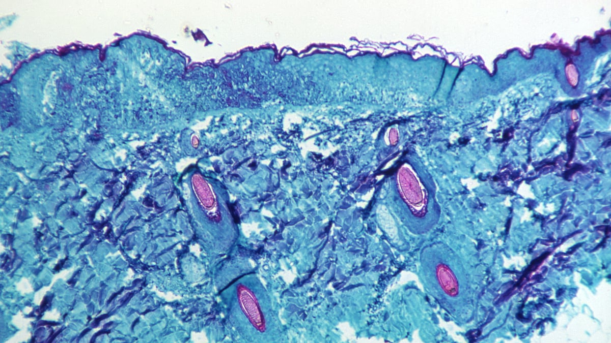 ছবি: রয়টার্স