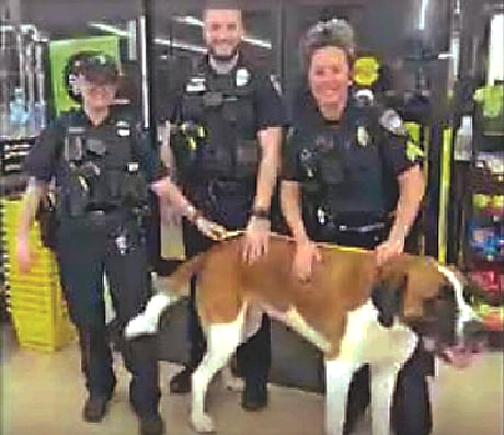 ছবি: ভিডিও থেকে নেওয়া