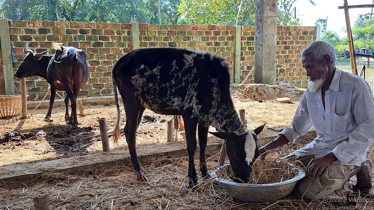  ছবি: প্রথম আলো