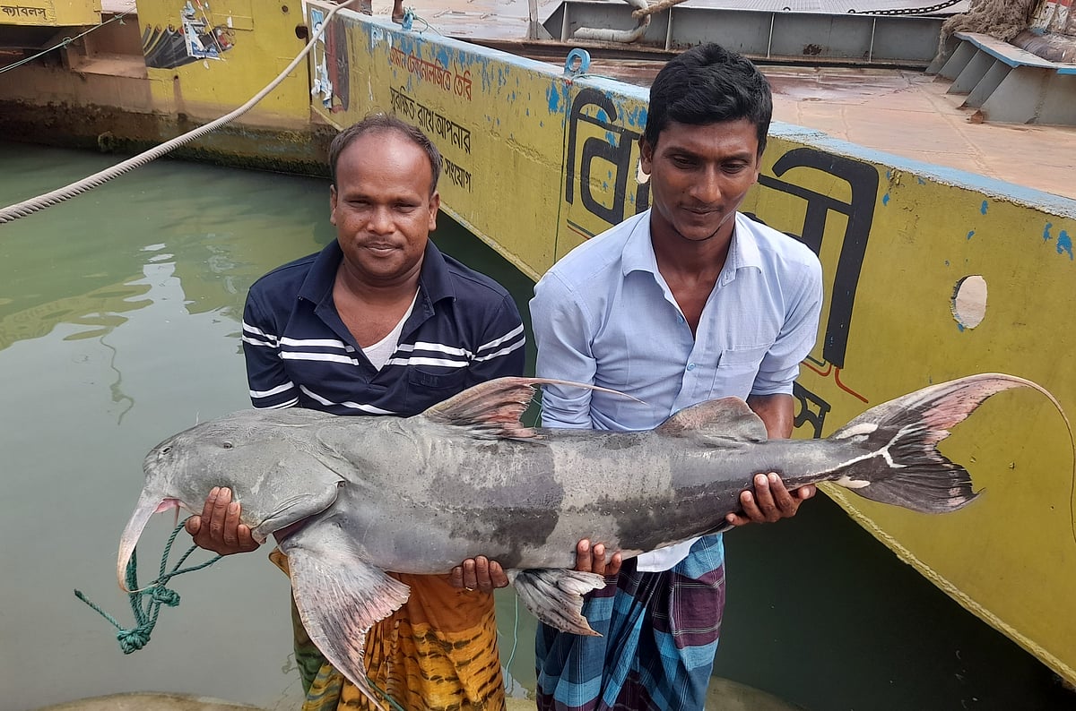  ছবি: প্রথম আলো