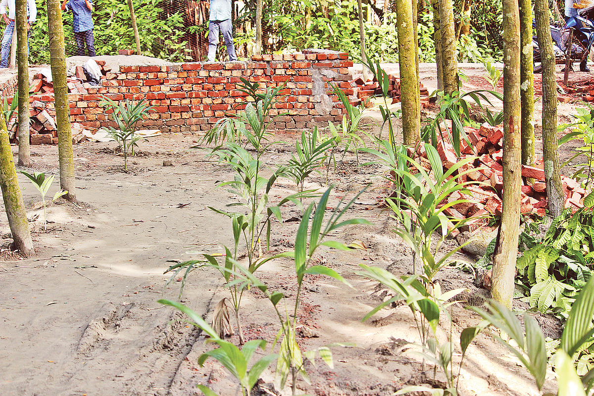 ছবি: প্রথম আলো