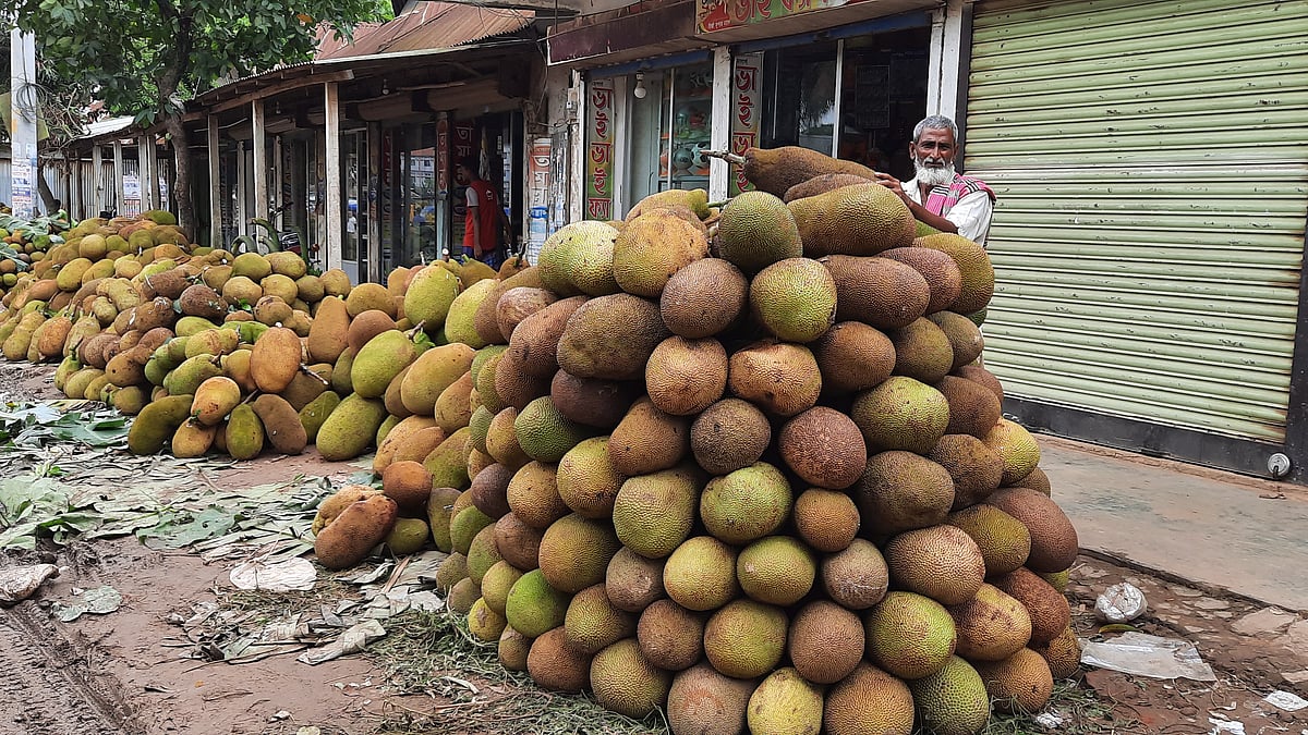 ছবি: প্রথম আলো