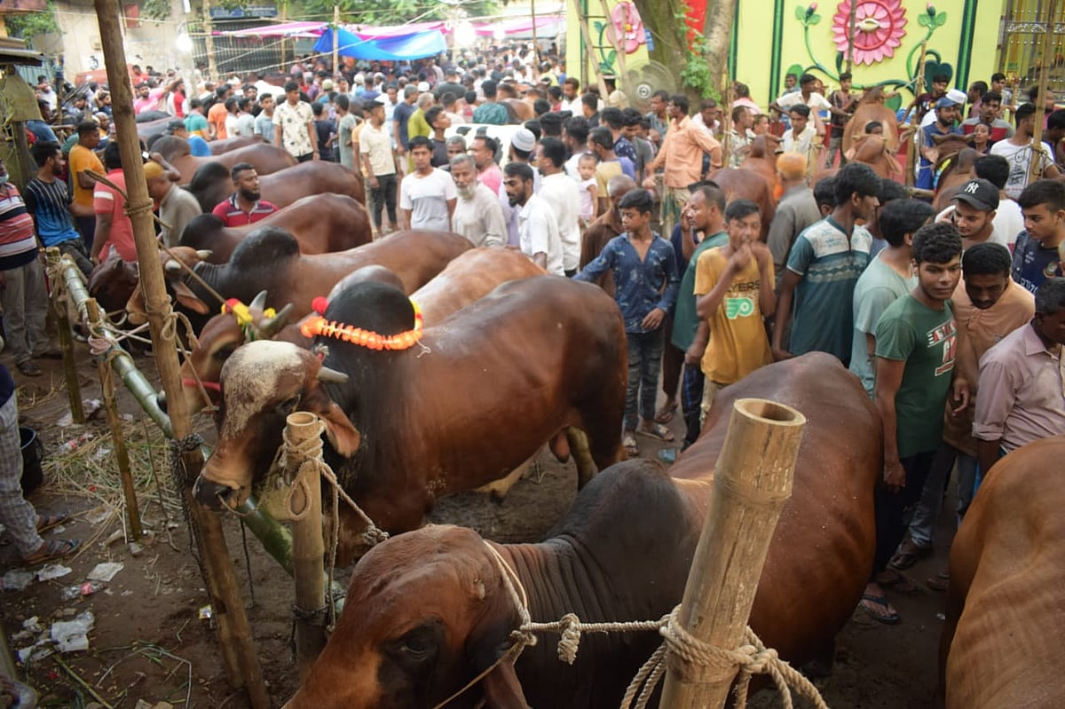 রাজধানীতে এবার কোরবানির পশুর হাট বসবে ২৬টি