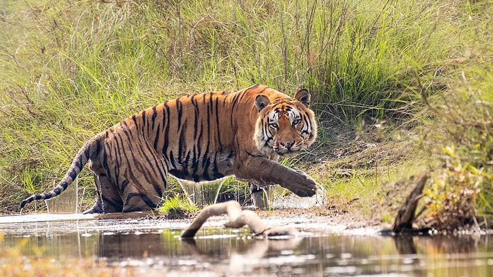 প্রতীকী ছবি