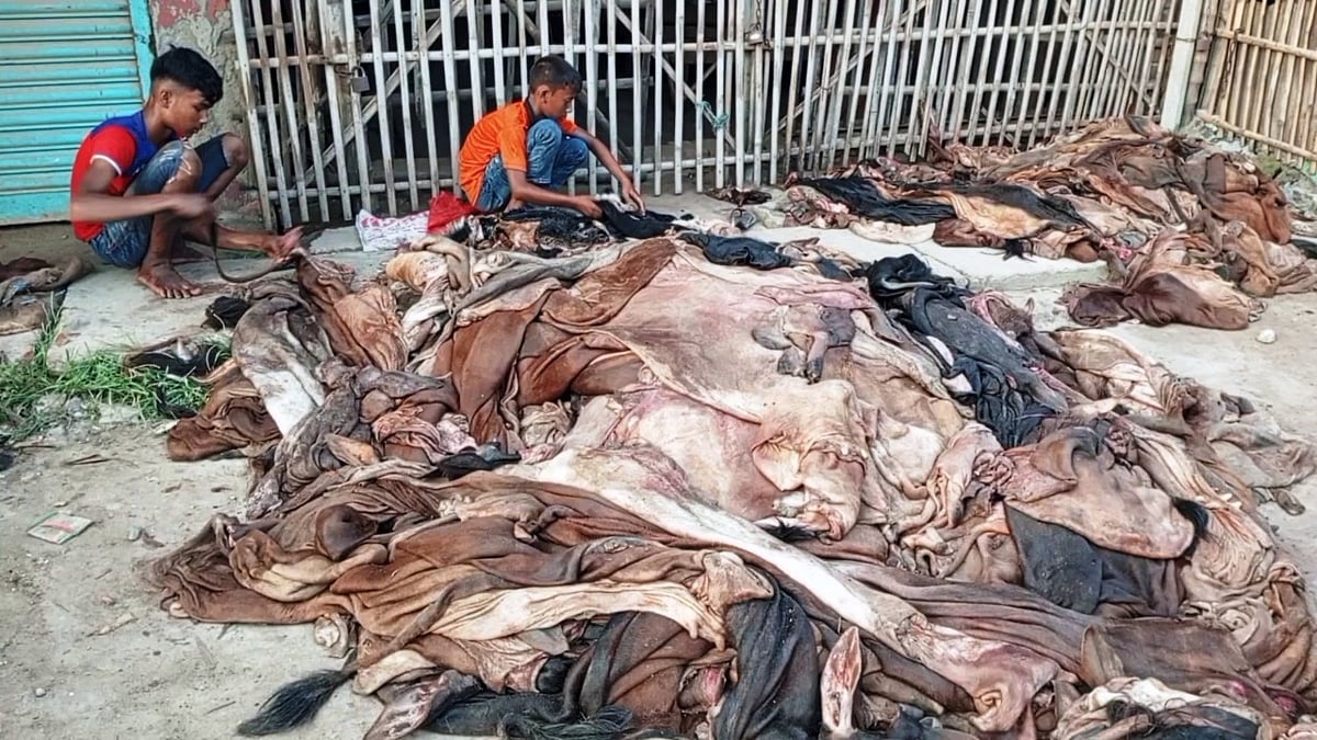 ছবি: প্রথম আলো