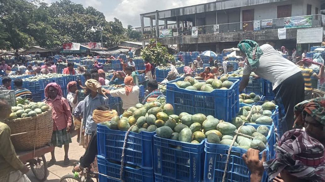 ছবি: প্রথম আলো