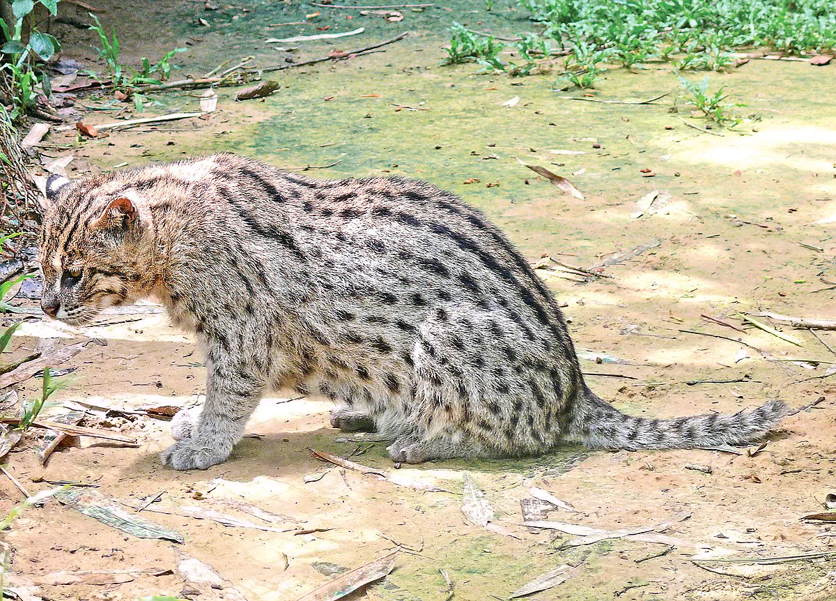 ছবি: আ ন ম আমিনুর রহমান