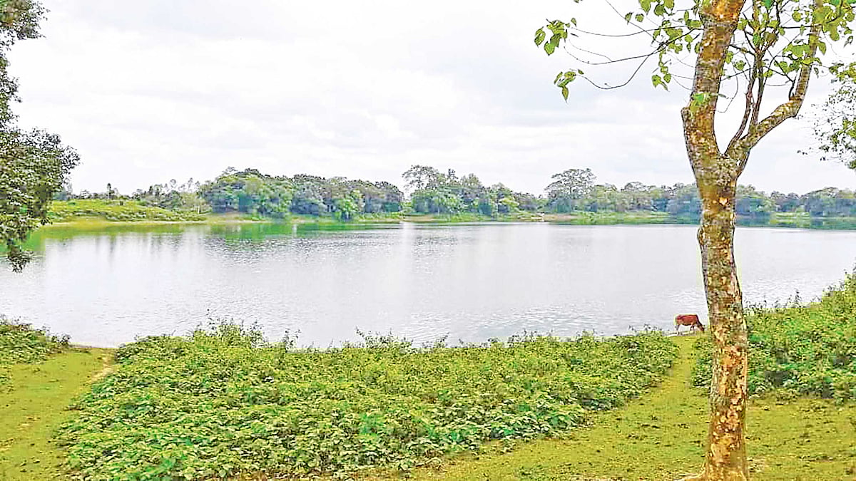 ছবি: প্রথম আলো