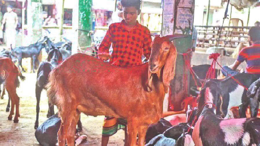 ছবি: প্রথম আলো