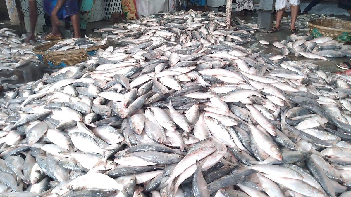 ছবি: প্রথম আলো