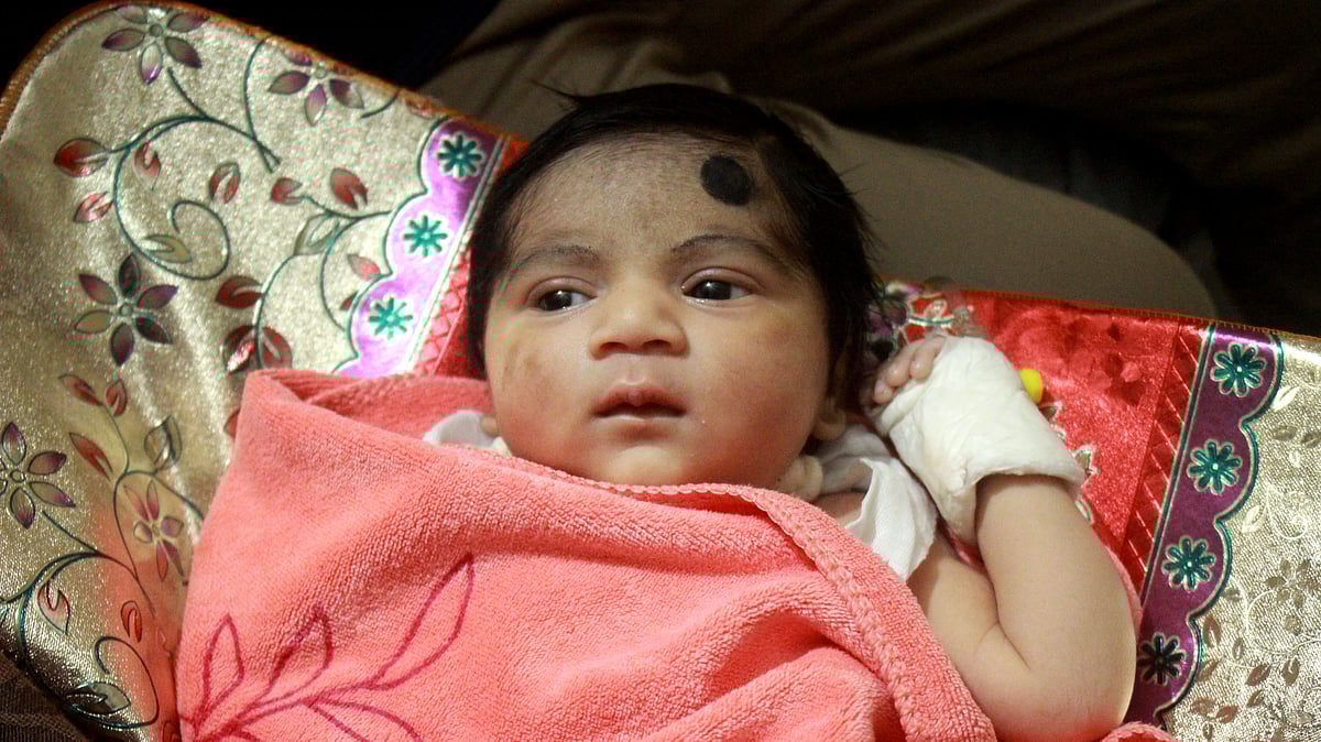 ফাইল ছবি