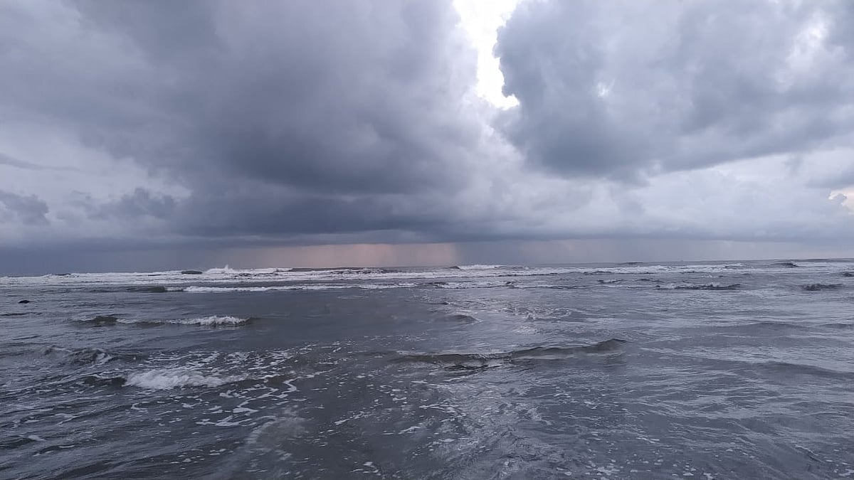 ছবি: লেখক