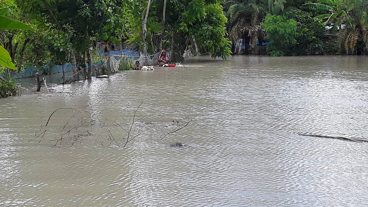 ছবি: প্রথম আলো