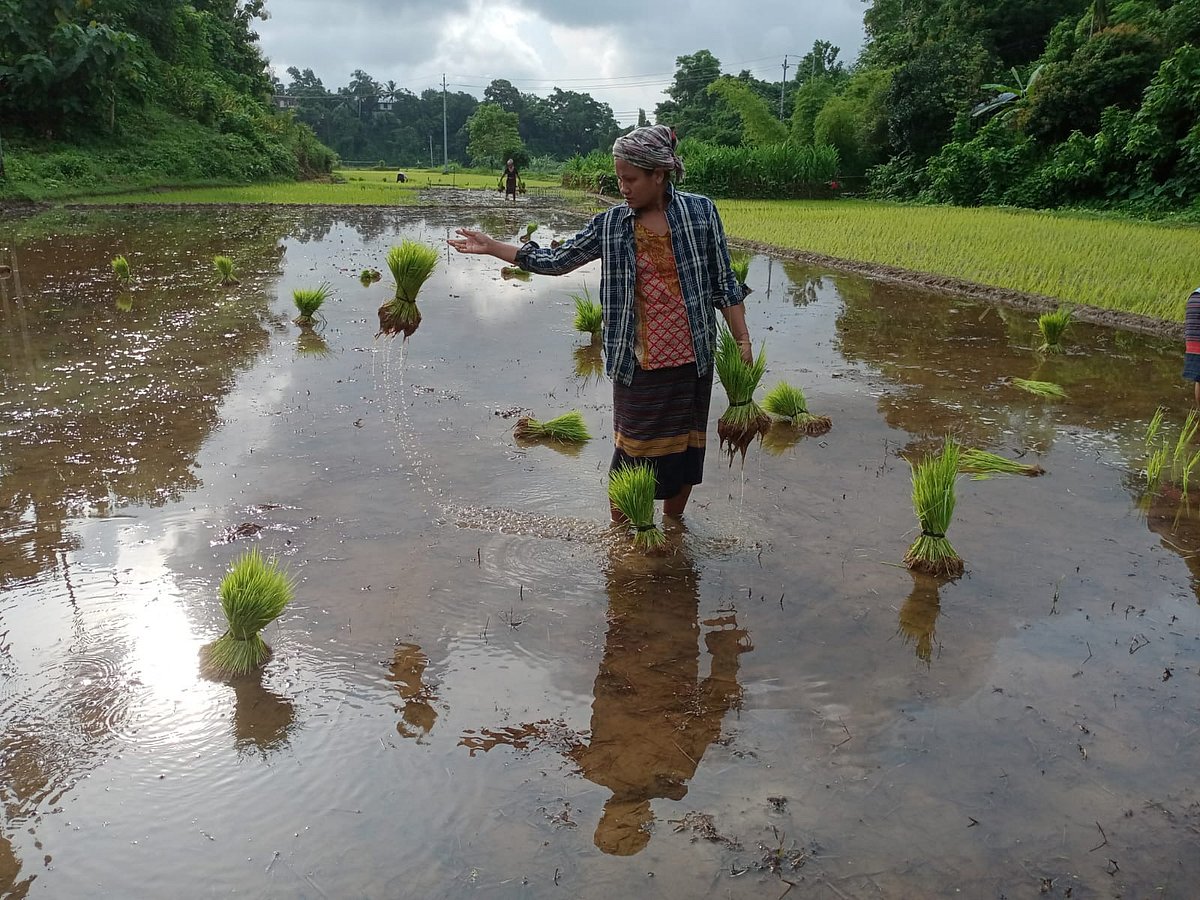 ছবি: সুপ্রিয় চাকমা