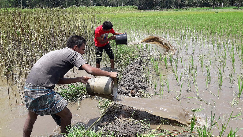 ছবি: প্রথম আলো