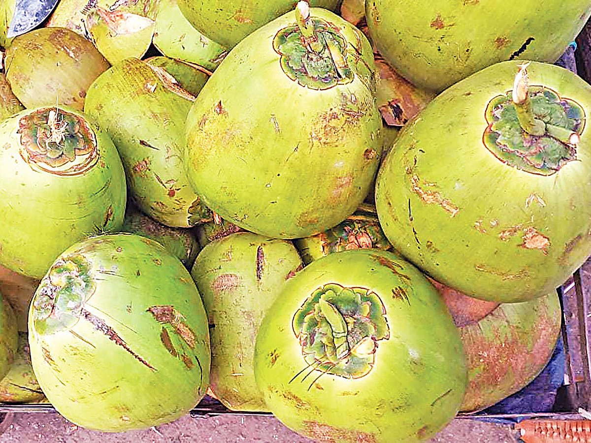 ঢাকার কারওয়ান বাজারে ১৫০ টাকার ডাব।