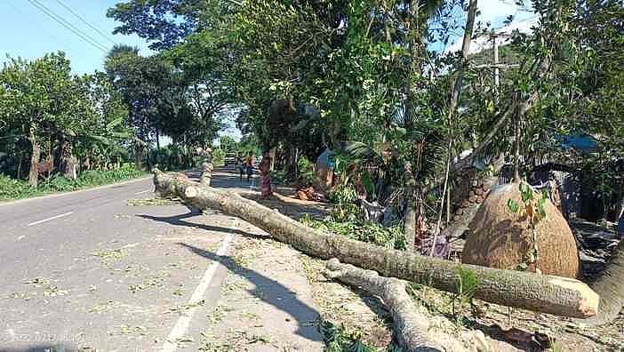 ছবি: প্রথম আলো