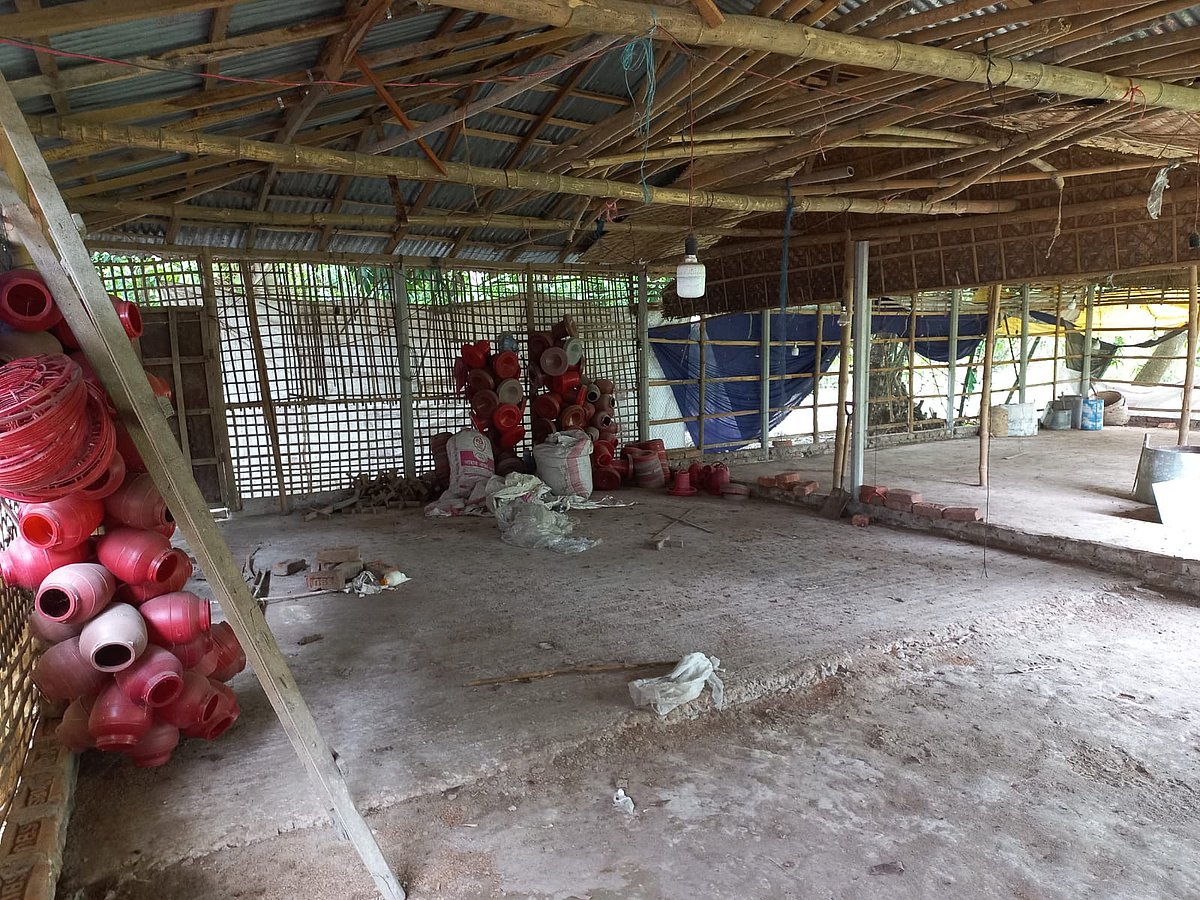 ছবি প্রথম আলো