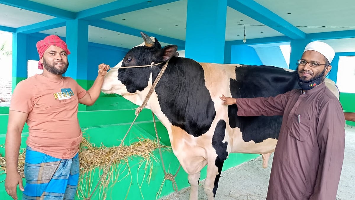 ছবি: প্রথম আলো