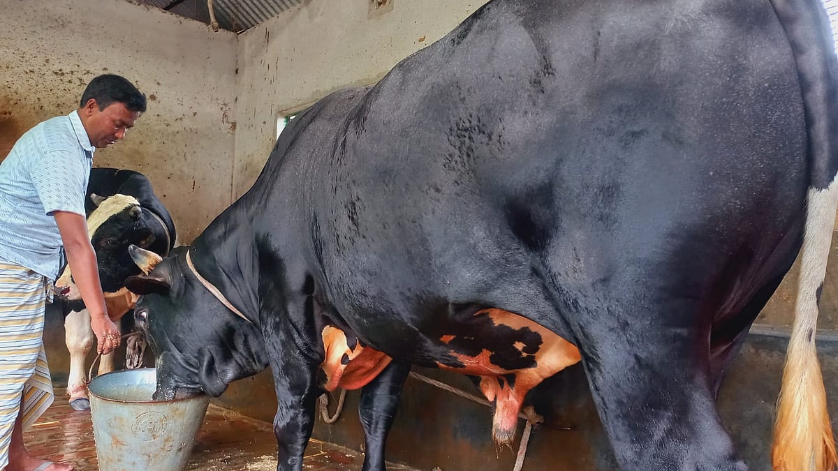 ছবি: প্রথম আলো