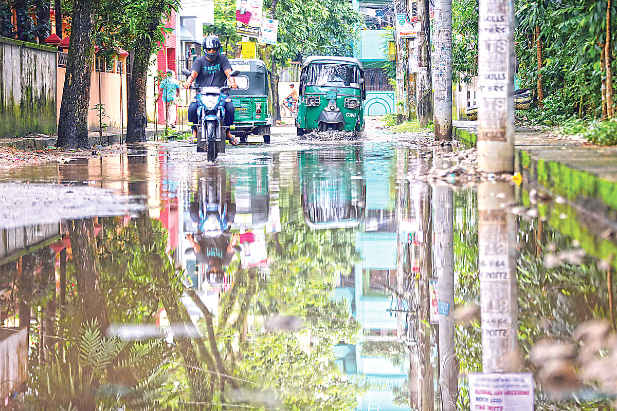 ছবি: প্রথম আলো 
