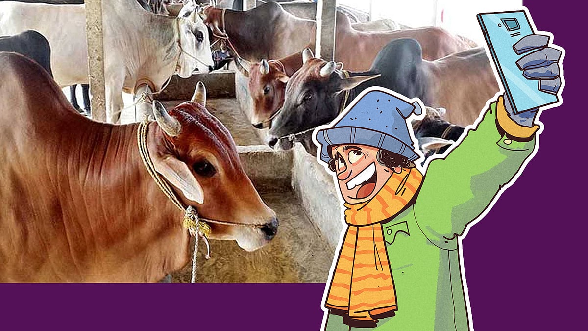 কার্টুন: আরাফাত করিম