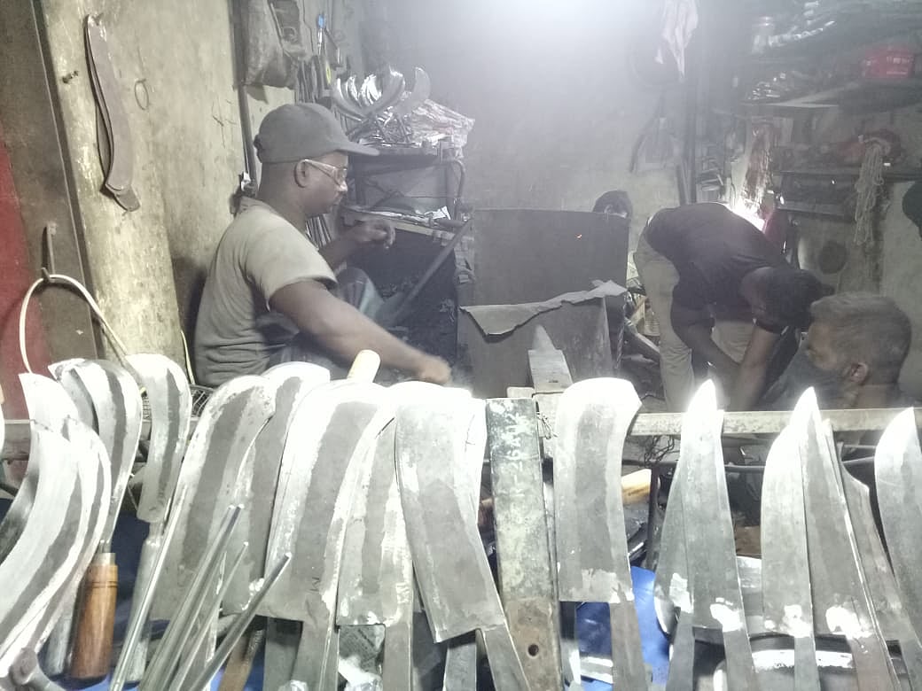 ছবি: প্রথম আলো