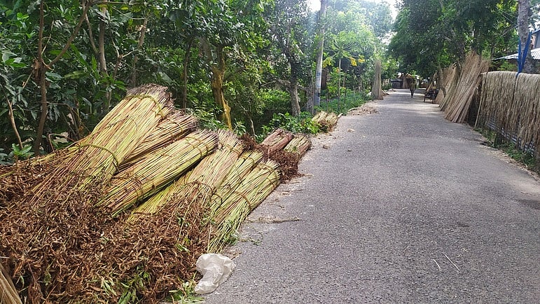 ছবি: প্রথম আলো  