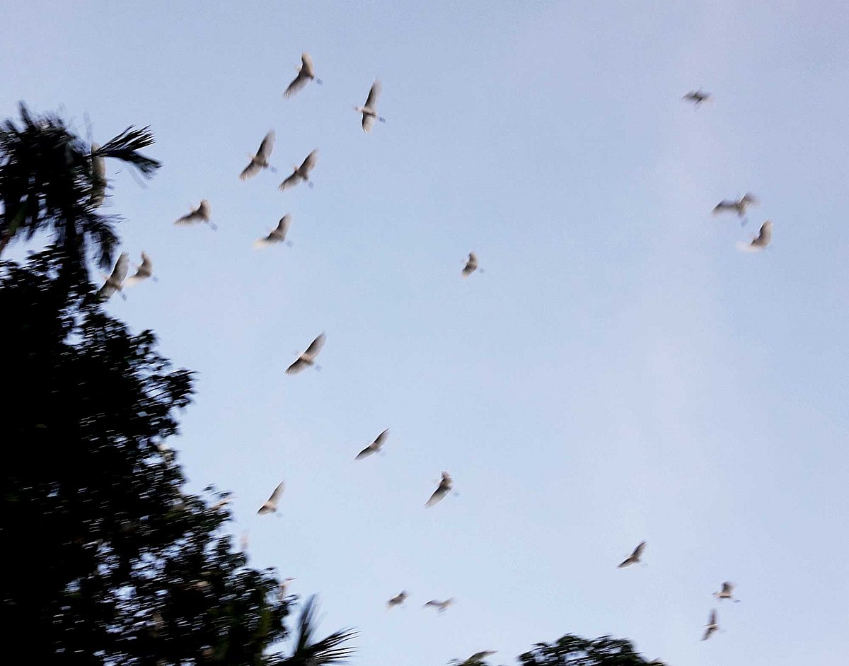 ছবি: প্রথম আলো