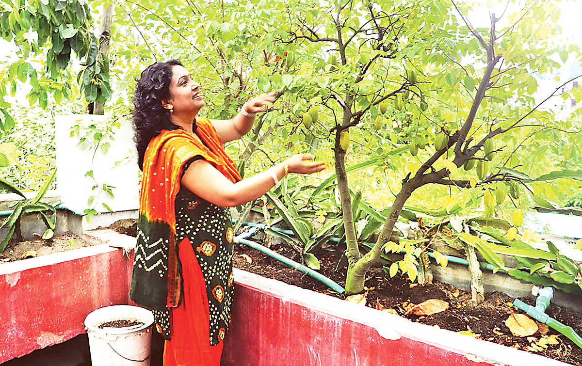 ছবি: প্রথম আলো