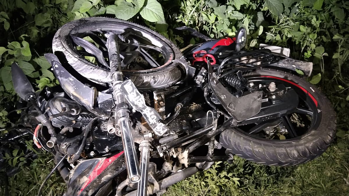 ছবি: প্রথম আলো