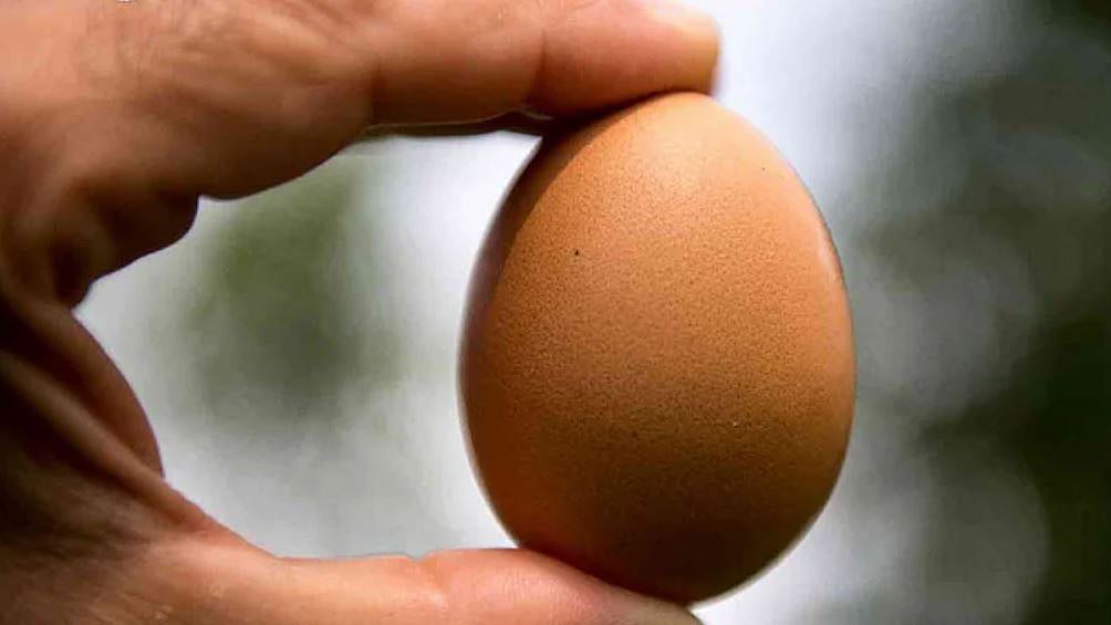 ছবি: এএফপি