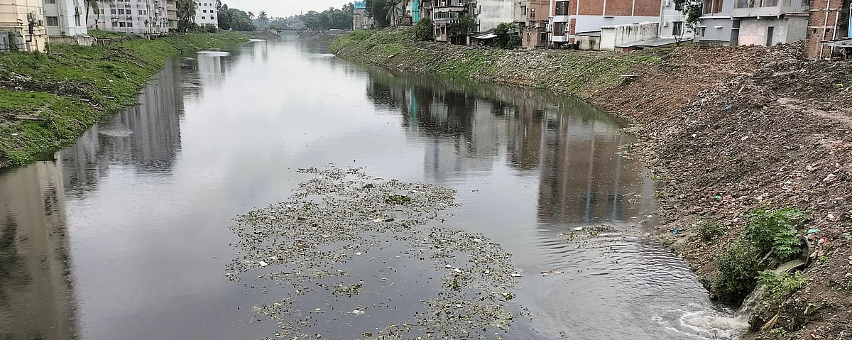 ছবি: প্রথম আলো