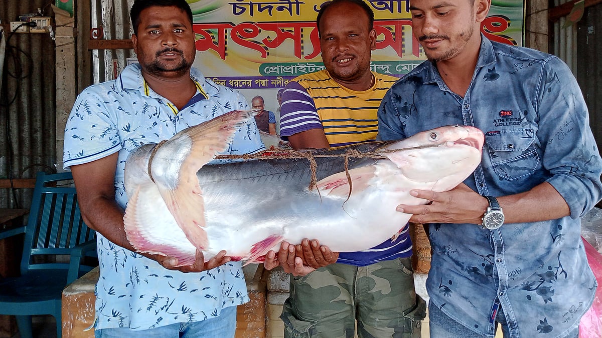 ছবি: প্রথম আলো