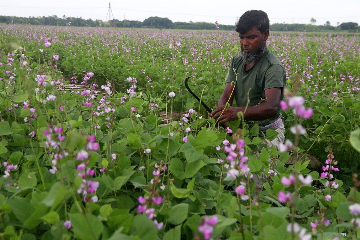 ছবি: হাসান মাহমুদ