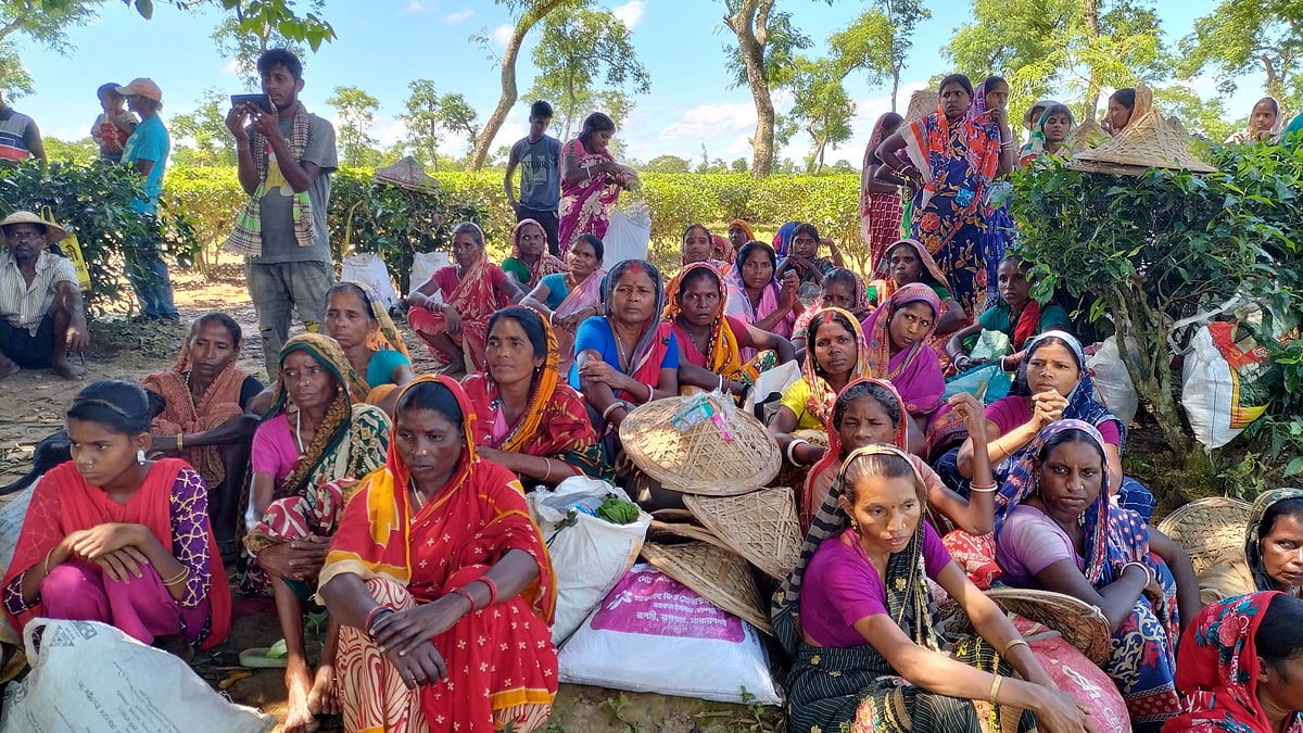 ছবি: শিমুল তরফদার