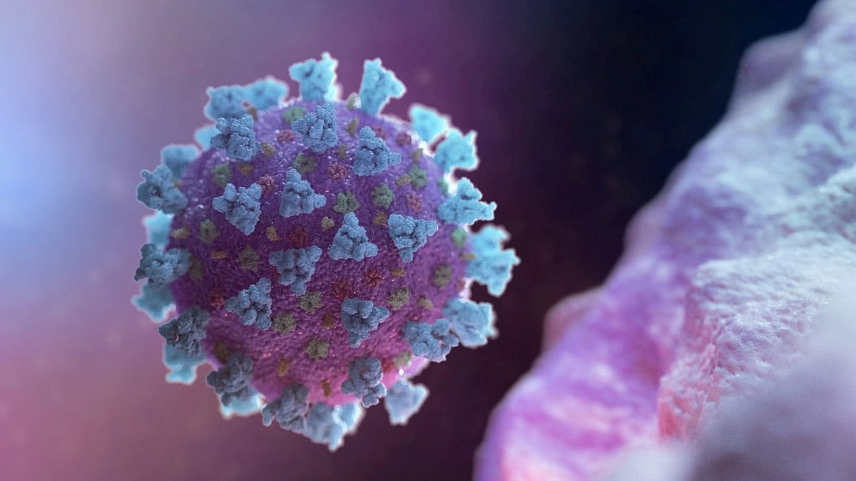 প্রতীকী ছবি: রয়টার্স