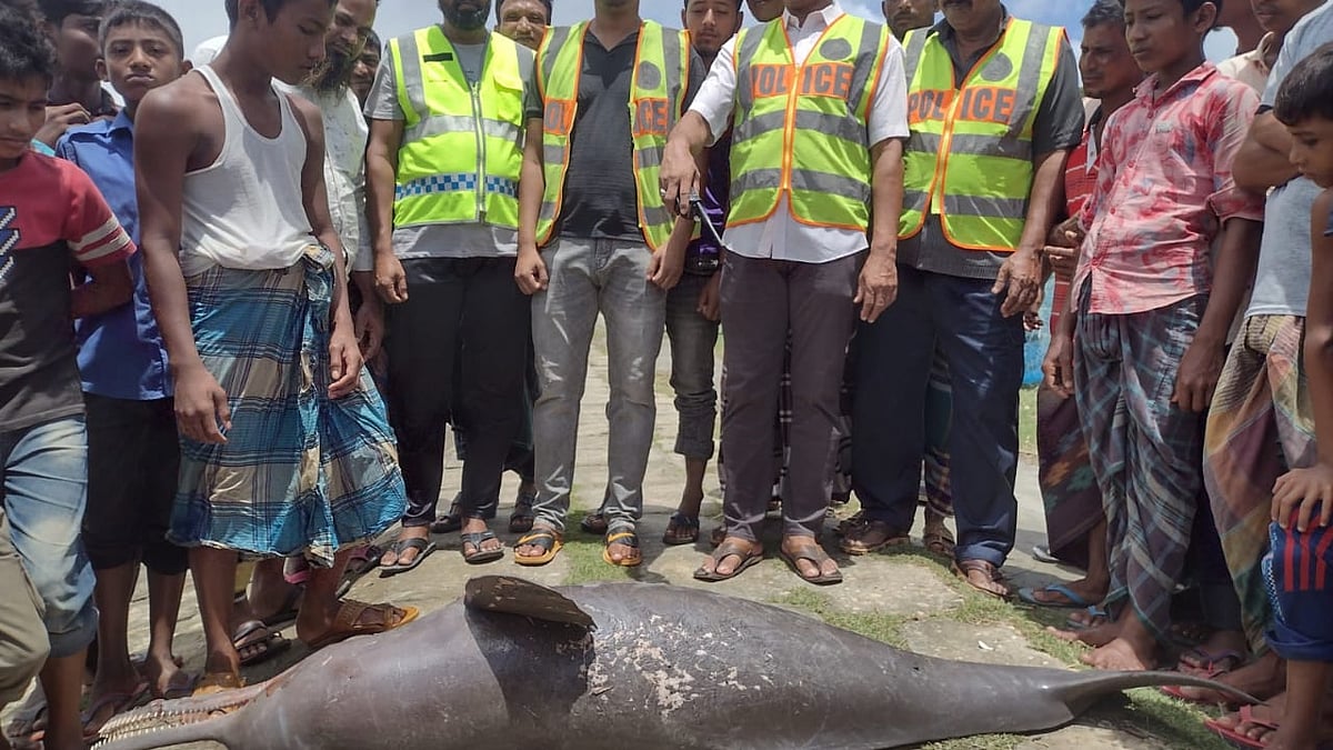 ছবি: প্রথম আলো