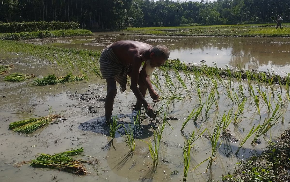 ছবি: প্রথম আলো