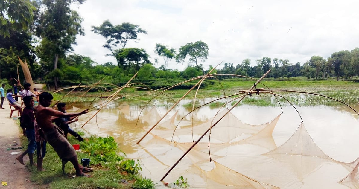 ছবি: প্রথম আলো