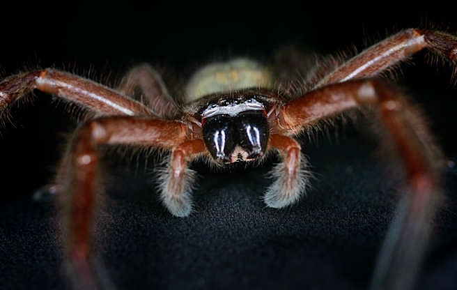 ছবি : রয়টার্স