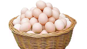 প্রতীকী ছবি