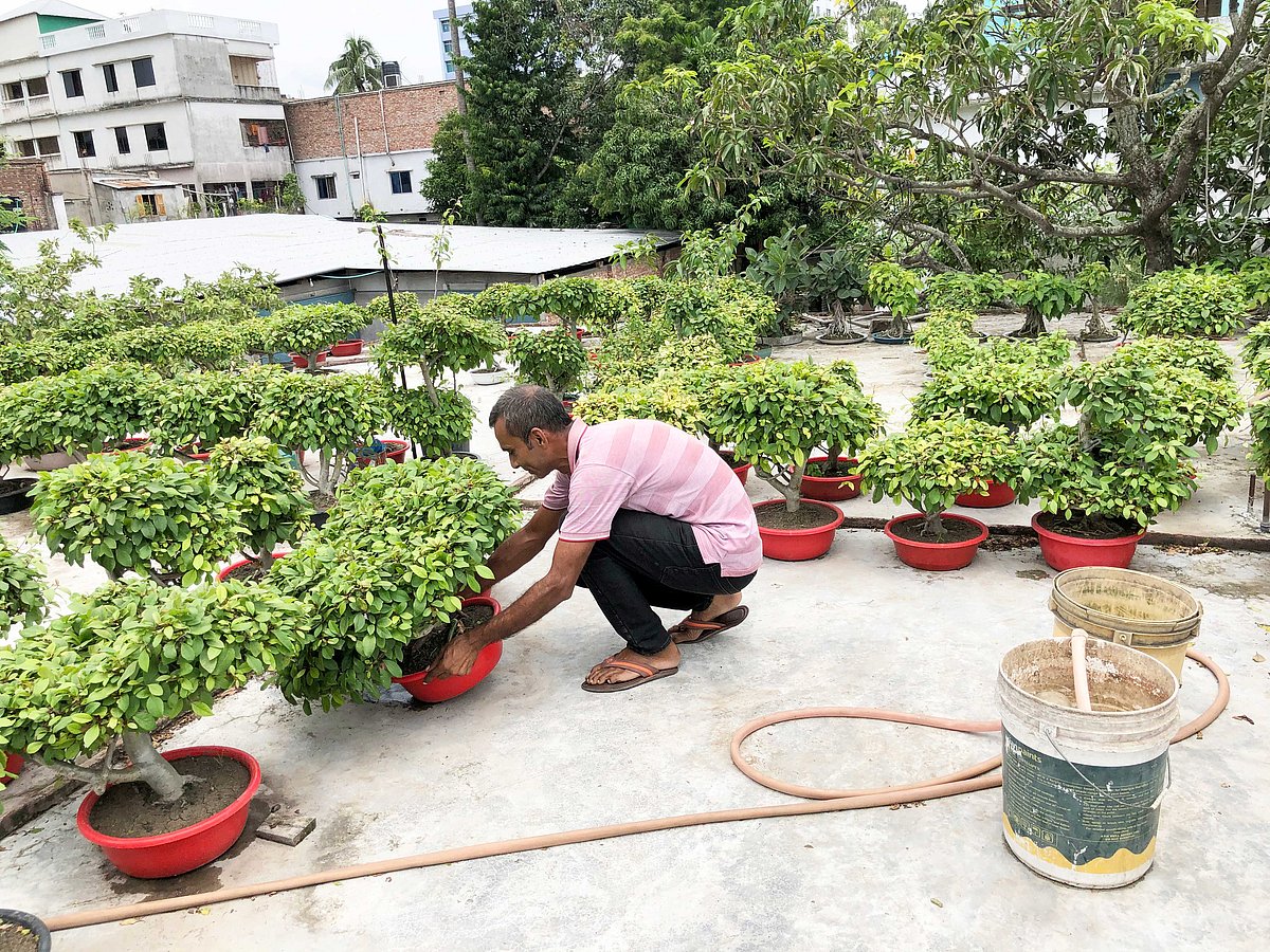 ছবি: প্রথম আলো