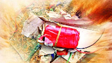 ফাইল ছবি