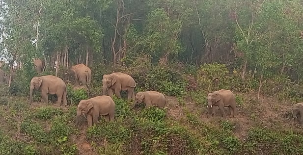 ছবি: প্রথম আলো