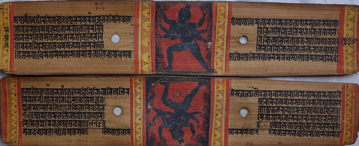 ছবি: প্রথম আলো