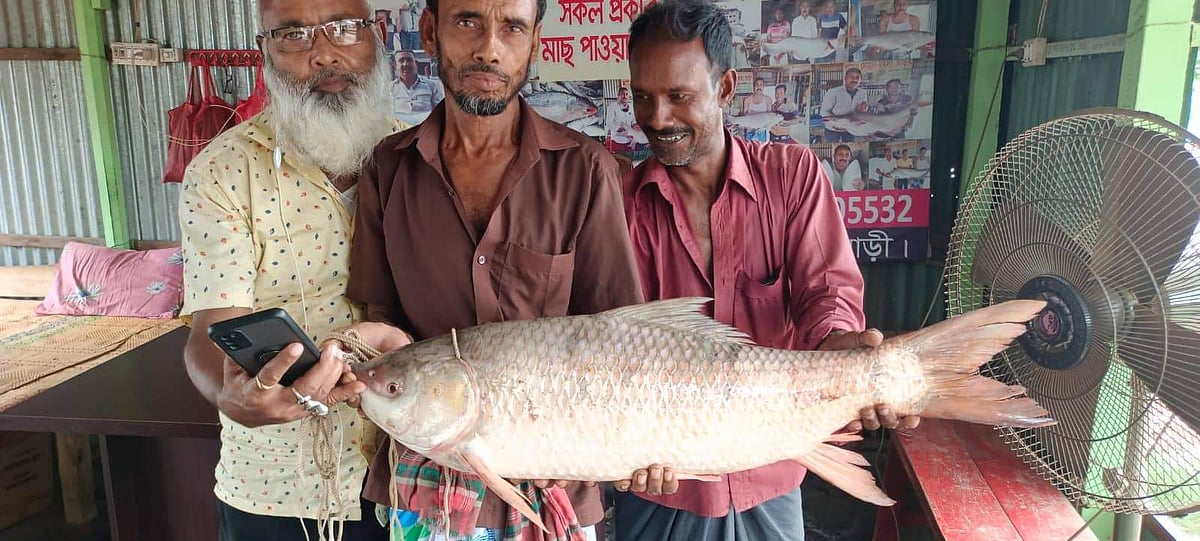 ছবি: প্রথম আলো