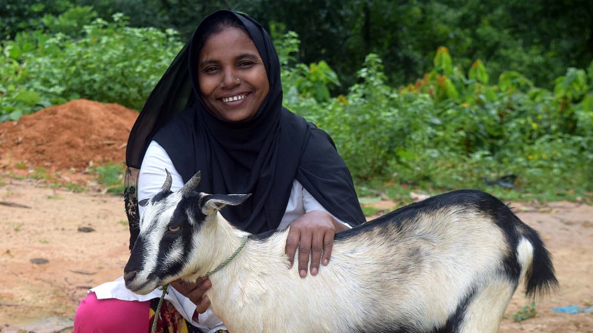 ছবি: প্রথম আলো