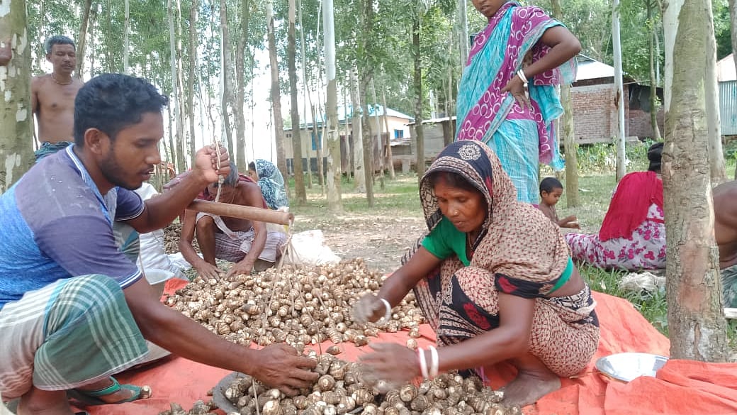 ছবি: প্রথম আলো