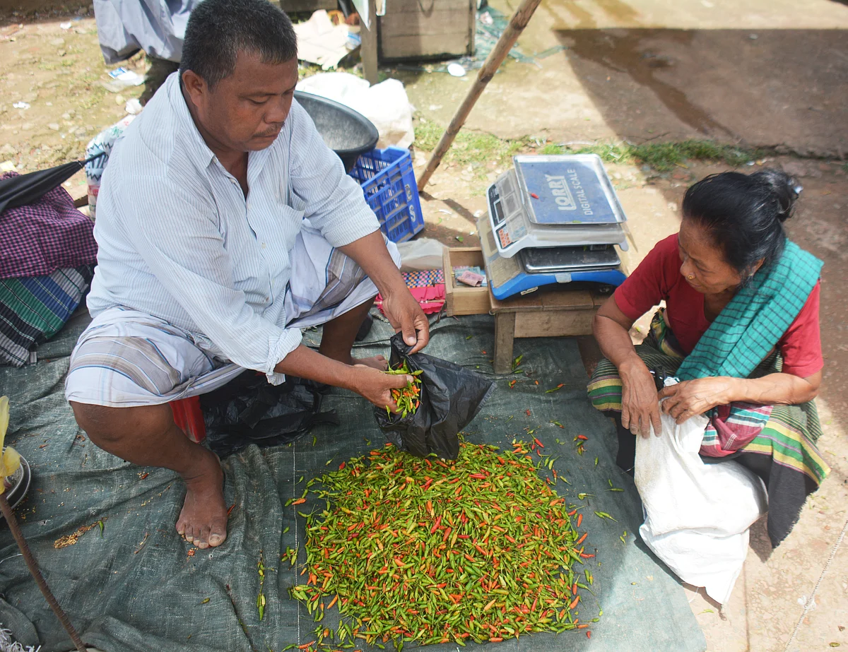 ছবি: পলাশ বড়ুয়া                                    